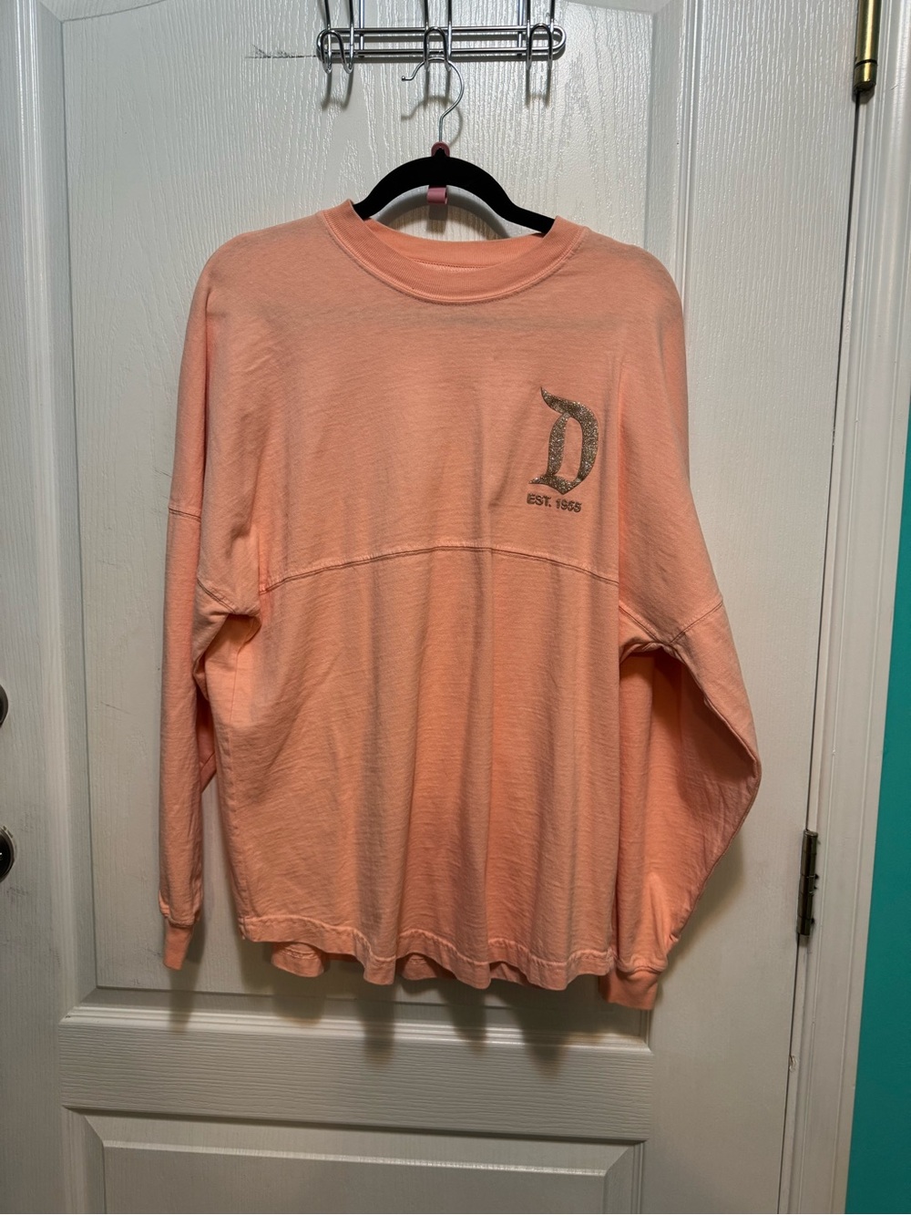 Disneyland Spirit Jersey